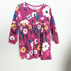 Hanna Andersson 4T floral long sleeve spring dress